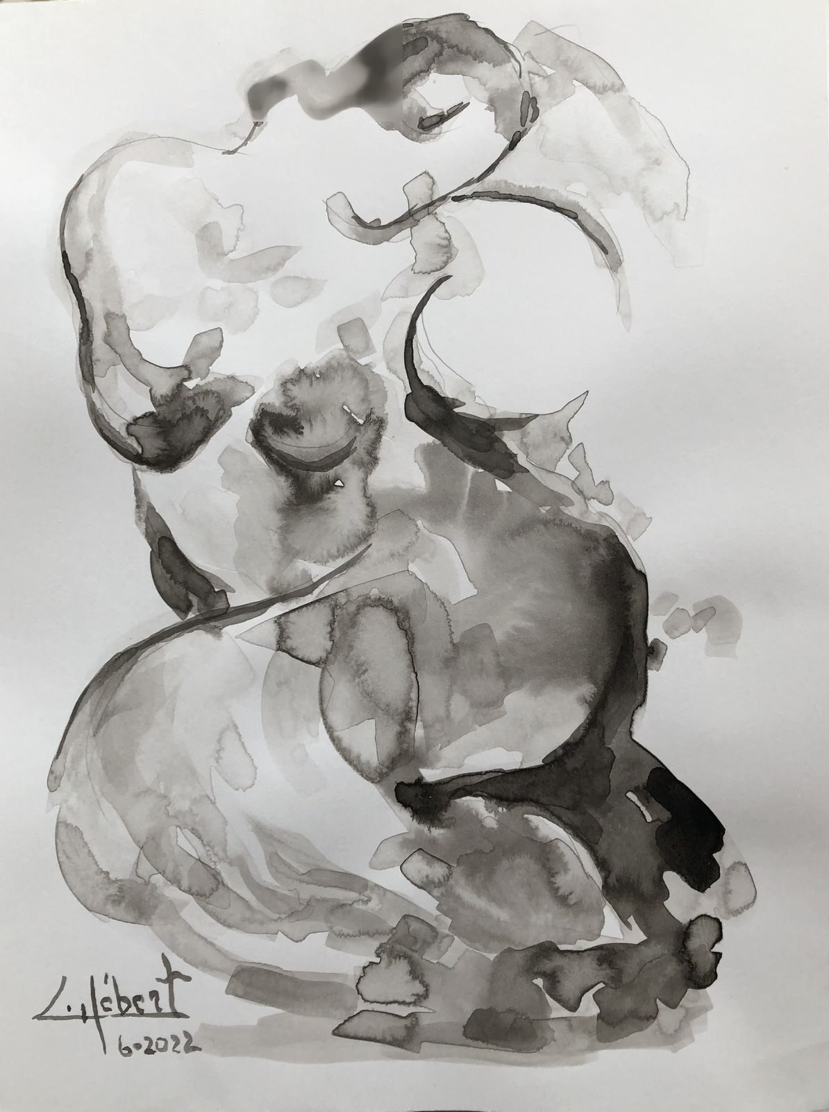 Lavis, washed ink on paper